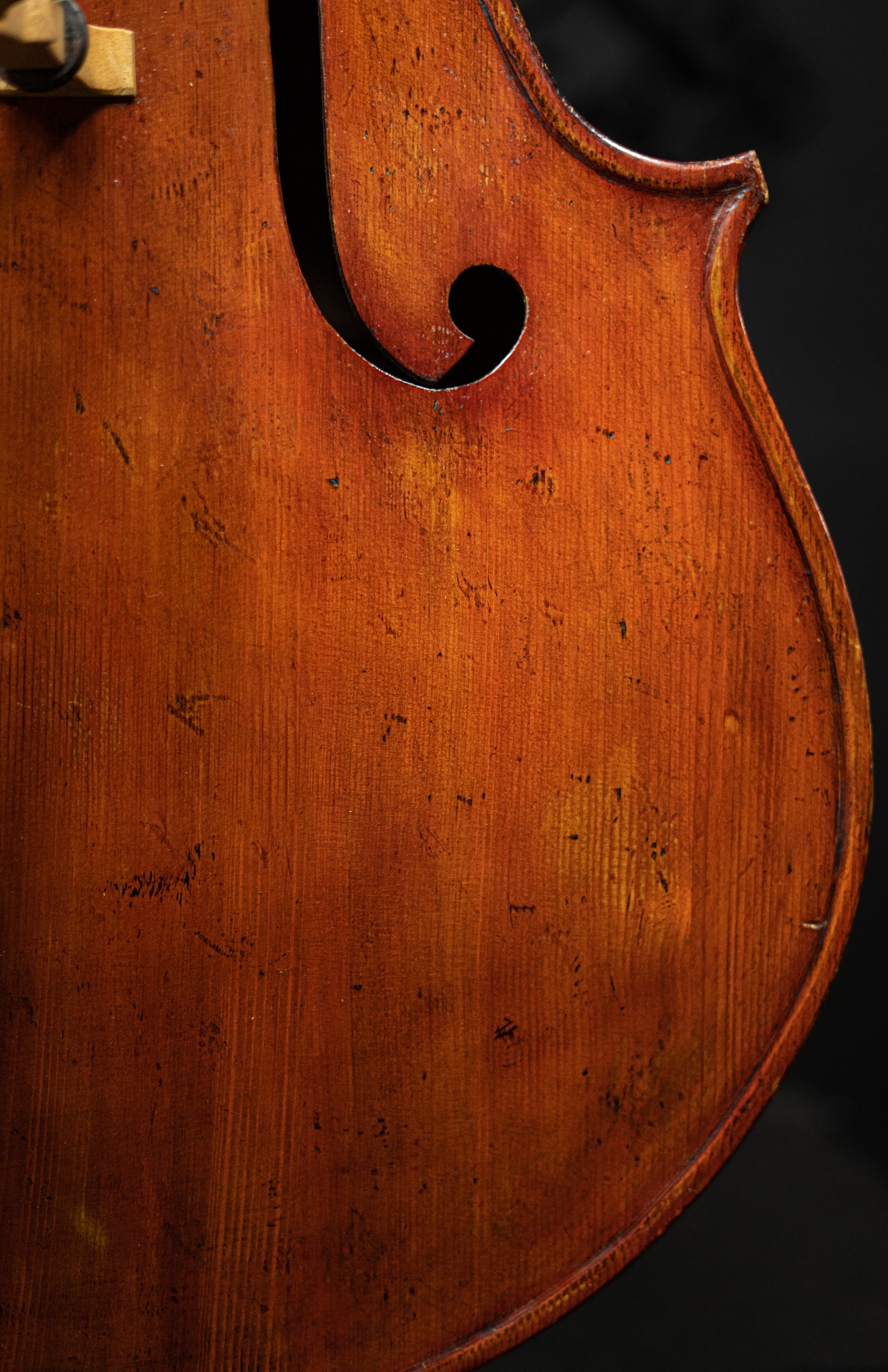 Thomas Dodd Model Bass