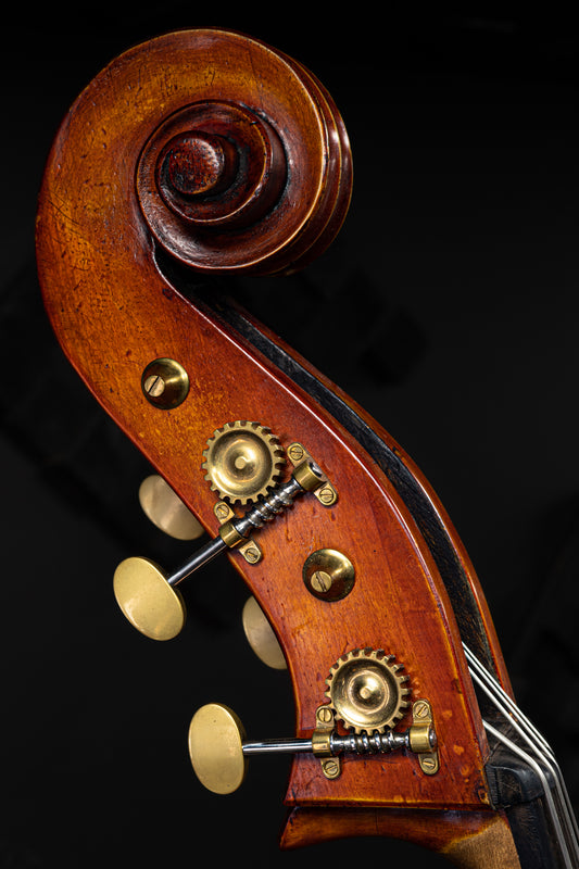 Thomas Dodd Model Bass