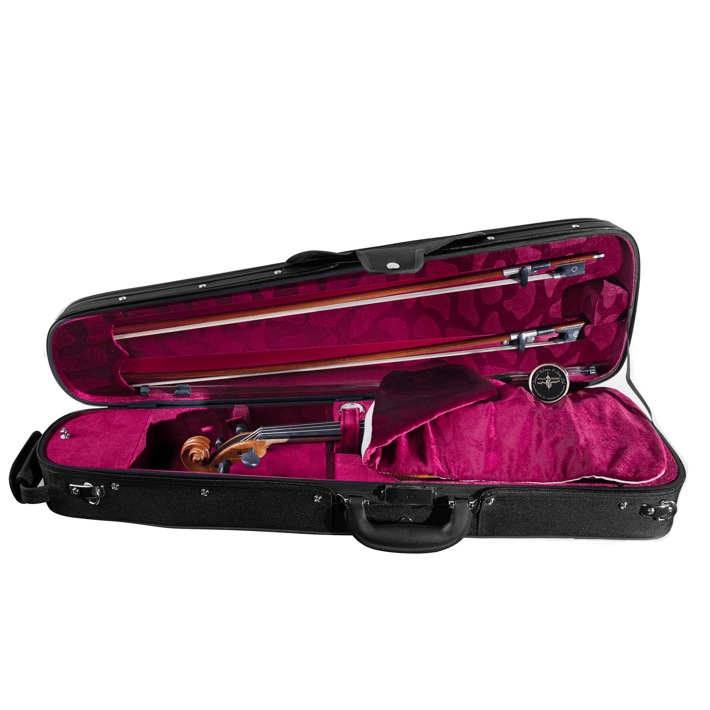 Liandro DiVacenza™ Elite Master Art Violin