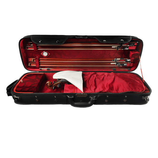 Kolstein Violin Case