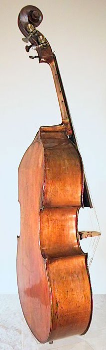 Justin Maucotel Bass Violin