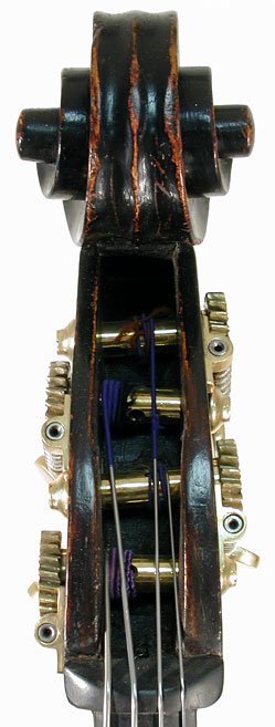 Giovanni Cavani Bass Violin