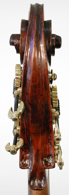 Veneto Venetian Bass Violin