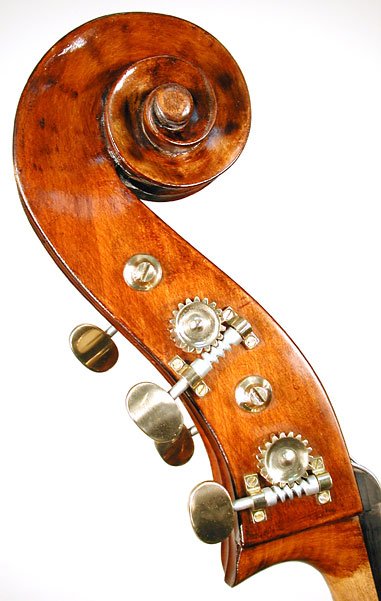 Kolstein Maggini Model Bass Violin