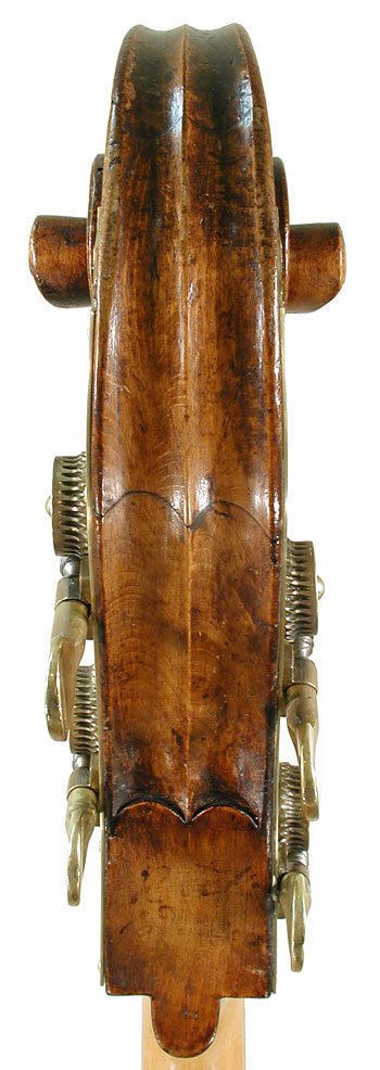 Bernardus Calcanius Bass Violin