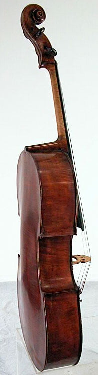 Gagliano Shop Cello