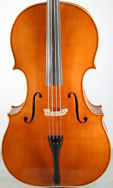 Liandro DiVacenza Strad Model Cello
