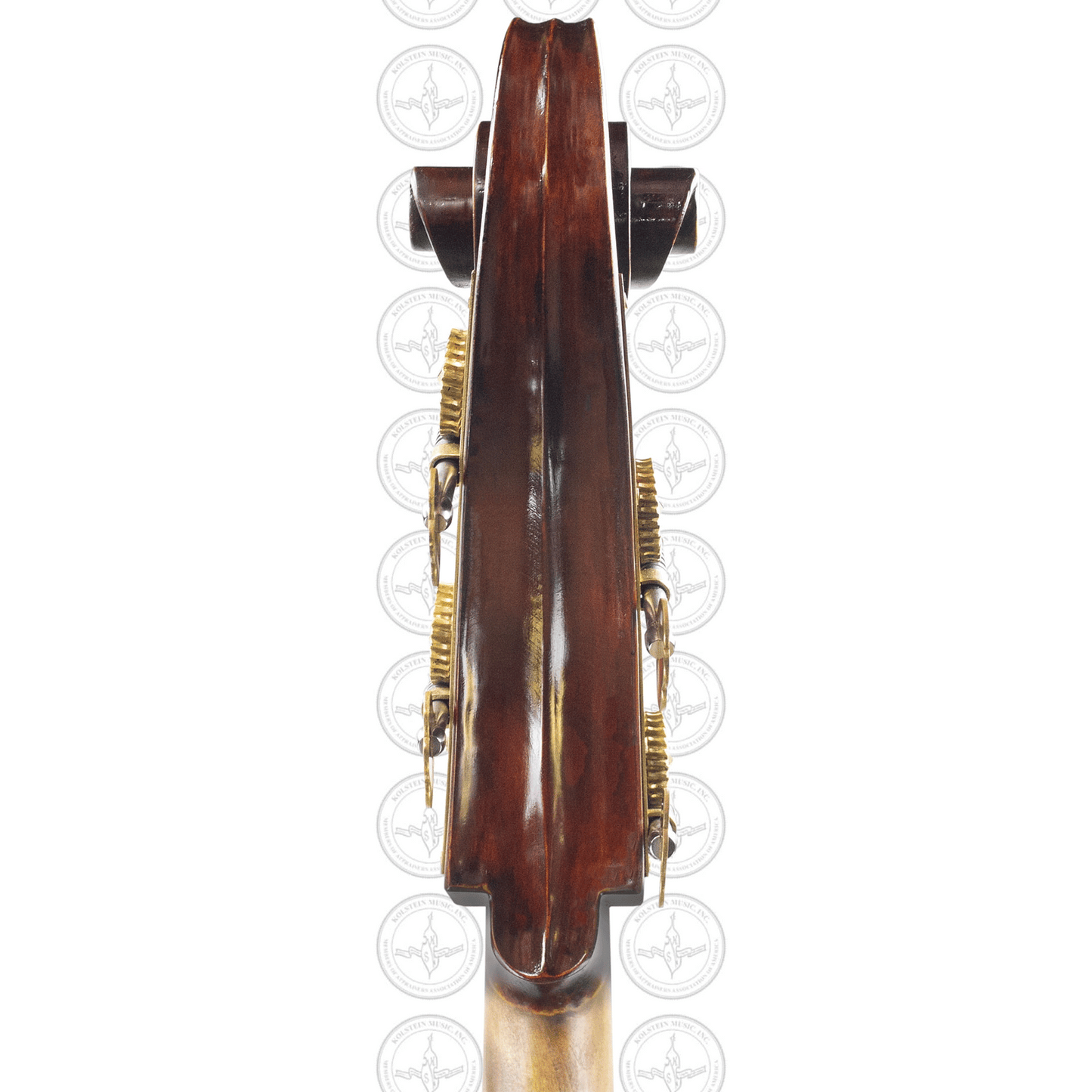 Liandro DiVacenza™ Mittenwald Orchestral Bass