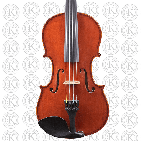 Liandro DiVacenza™ DV200 Violin
