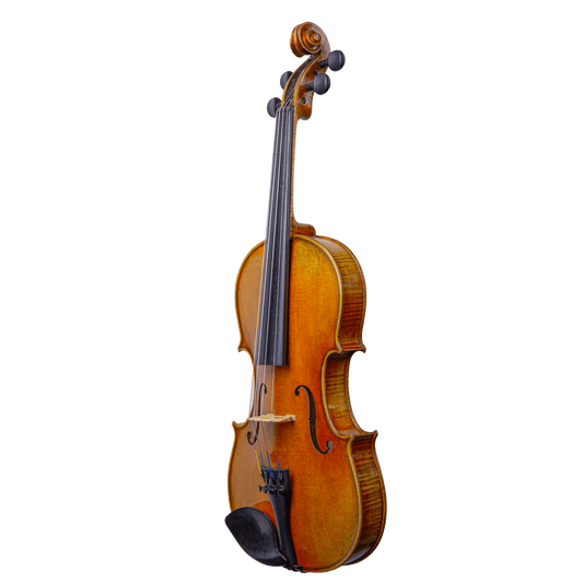Liandro DiVacenza™ Elite Master Art Violin