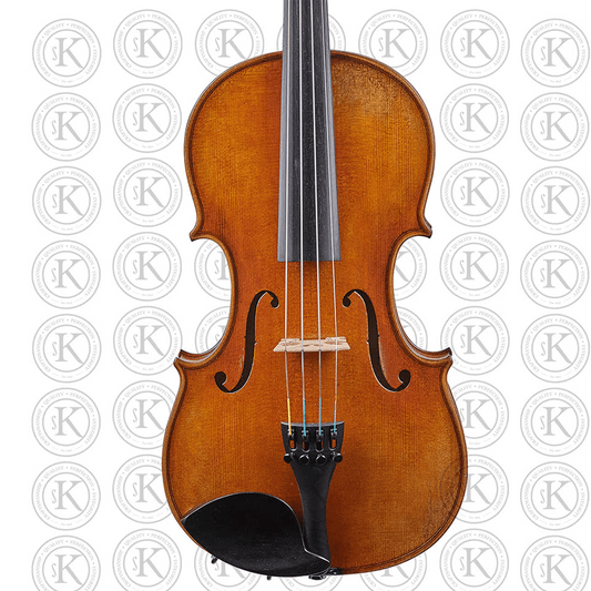Liandro DiVacenza™ Elite Master Art Violin
