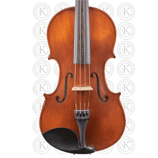 Liandro DiVacenza™ DVA200 Viola