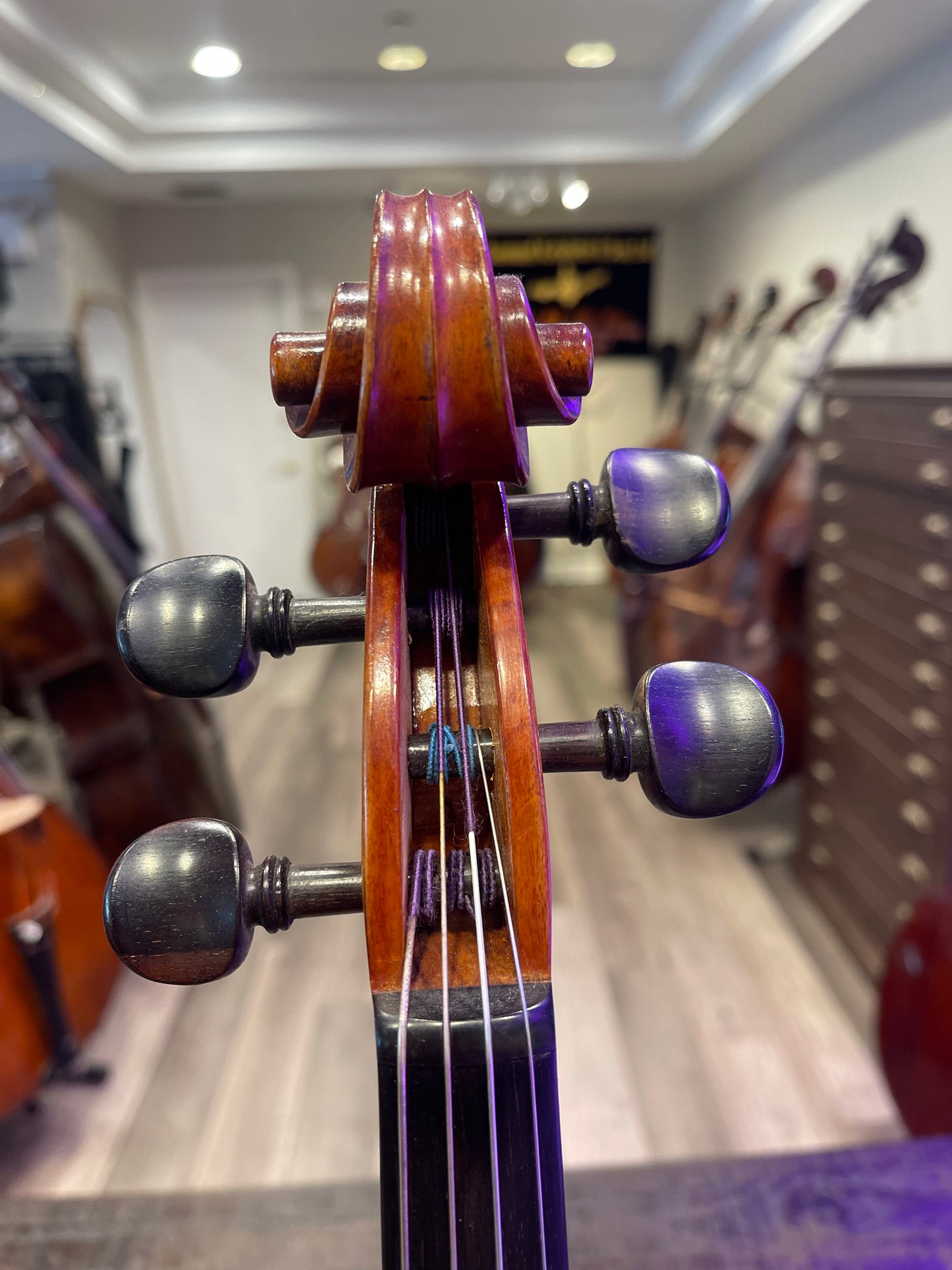 Liandro DiVacenza DVA 300 16” Model Viola