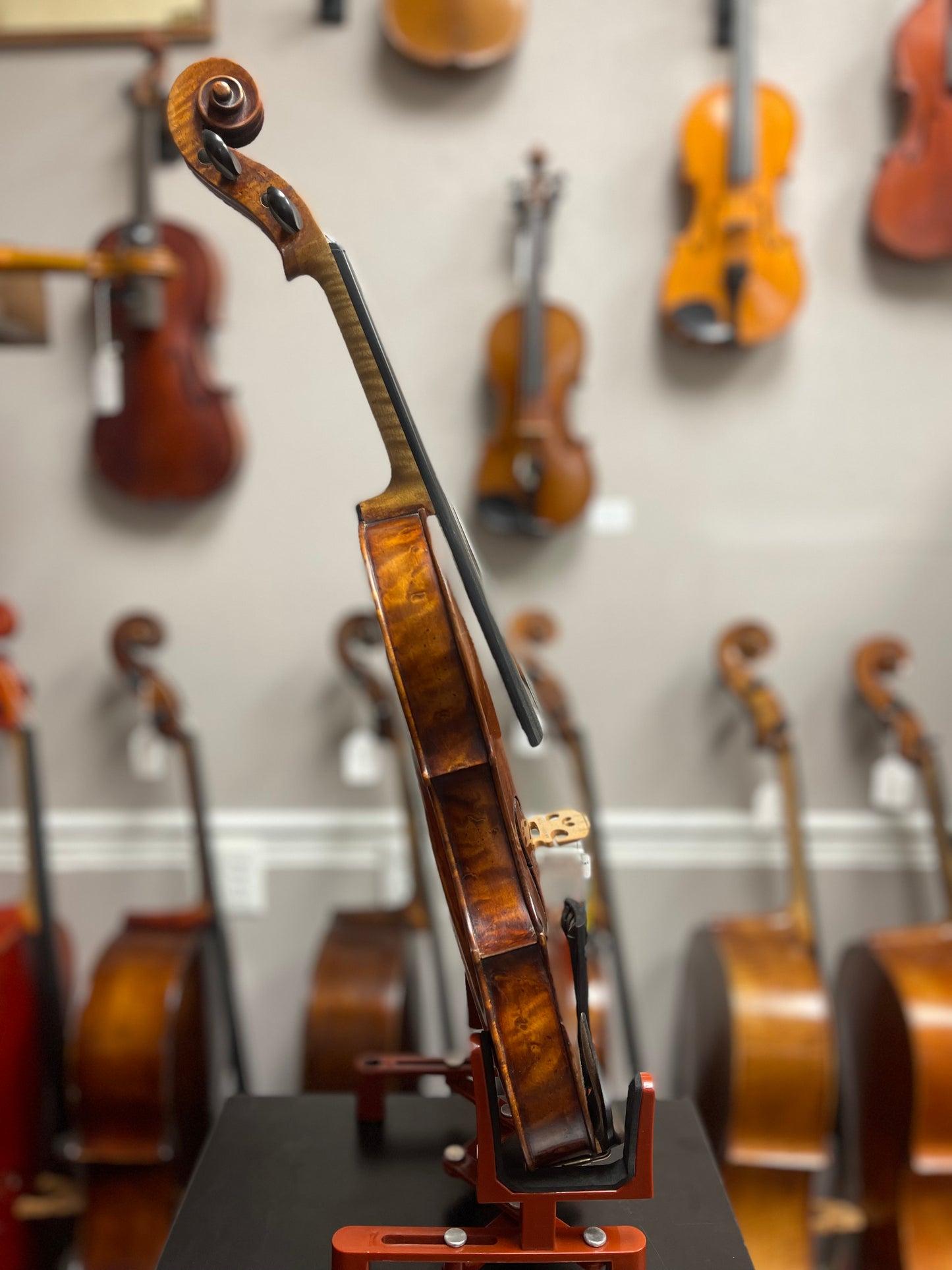 German Violin Label Guadagnini