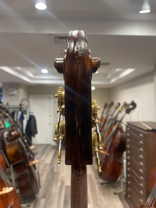 Monzino Gamba Shaped Flat Back Bass