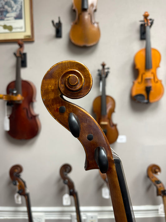 Liandro DiVacenza DVA50 15" Viola