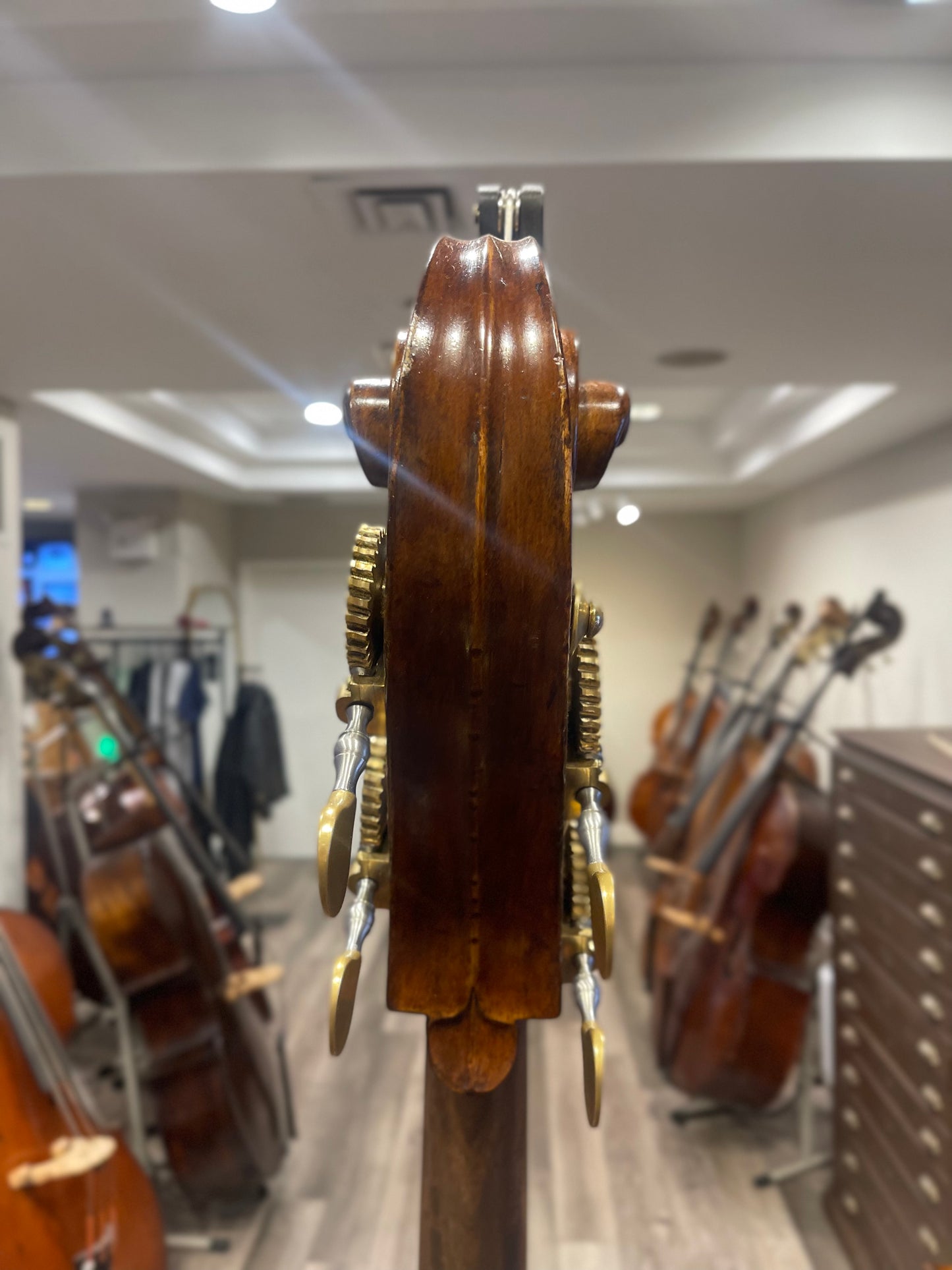 Kolstein Carlo Giuseppe Testore Bass