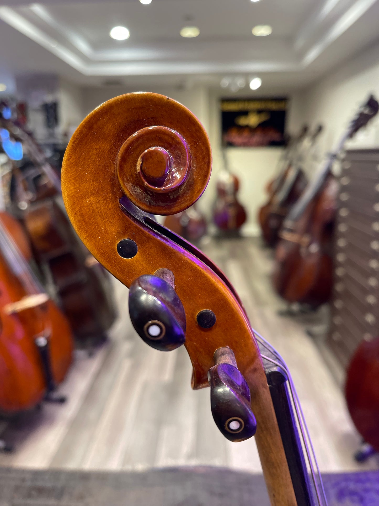 Liandro DiVacenza Model 50 Viola