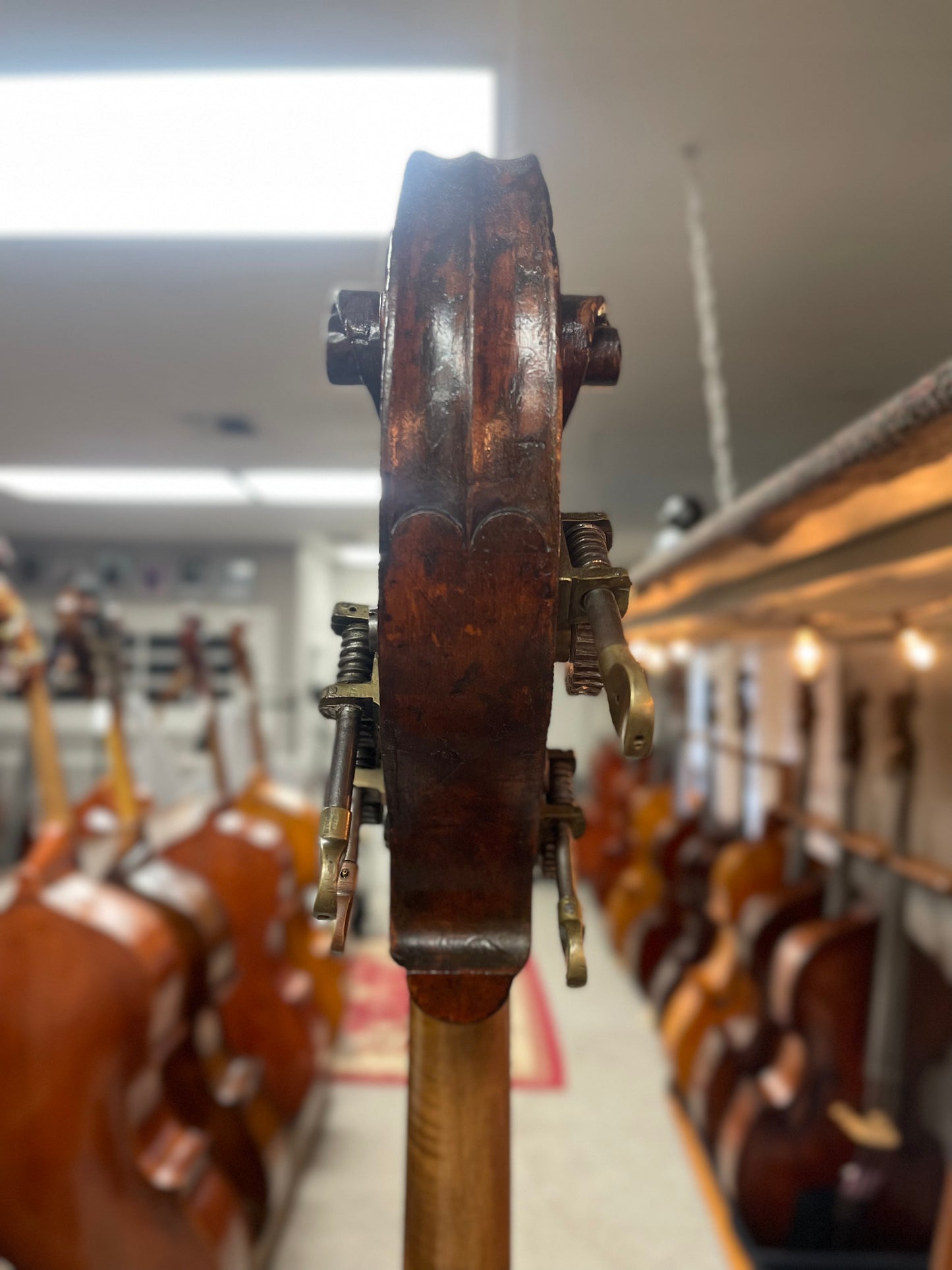 David Dearborne Bass