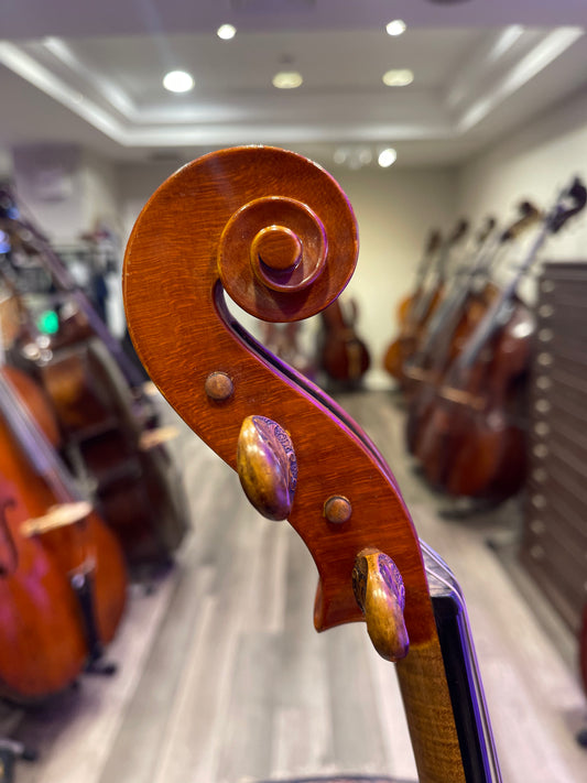 Umberlo Lanaro Viola