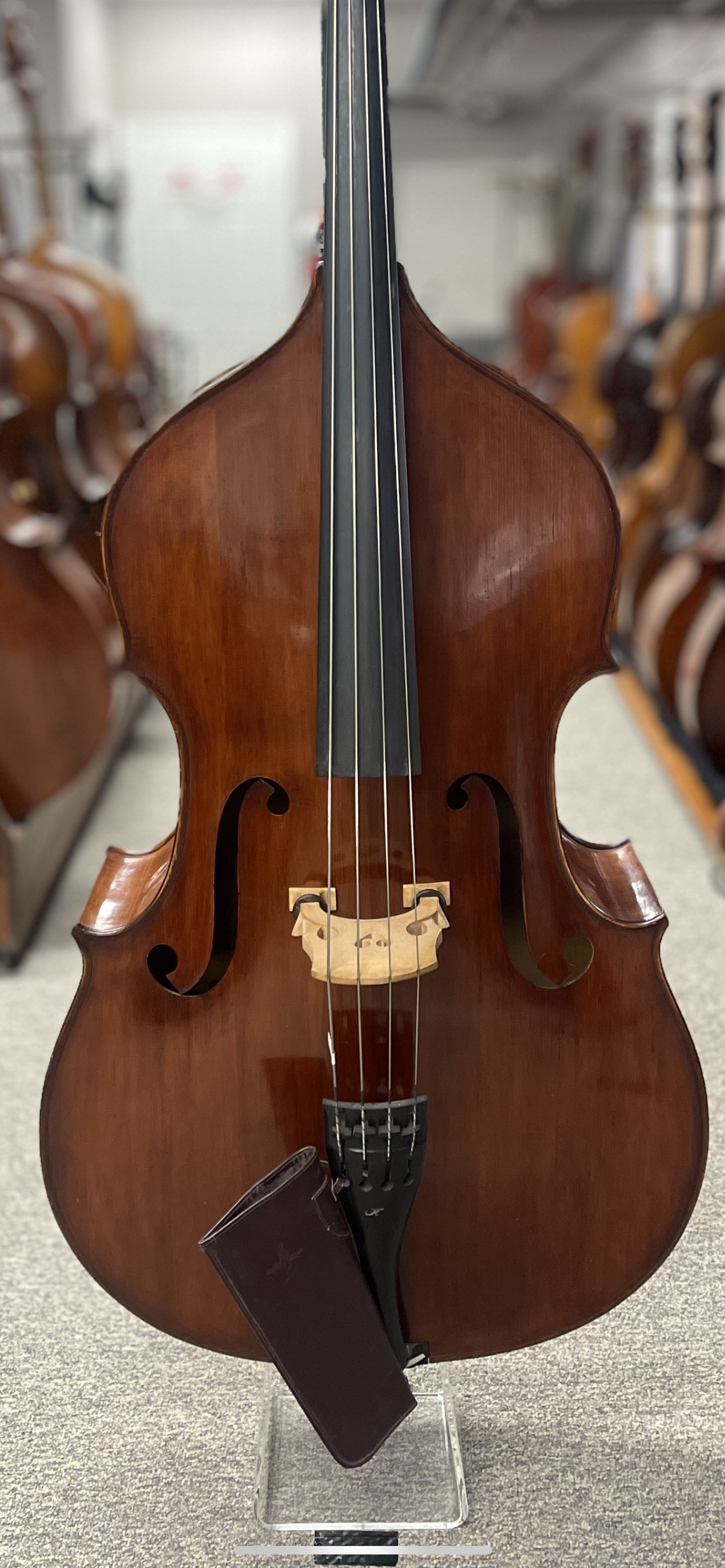 Kolstein Panormo Bass