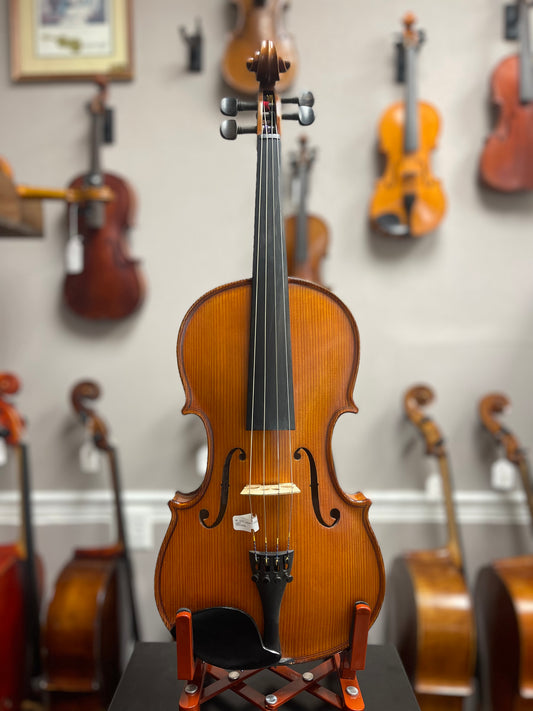 Liandro DiVacenza 15" Viola DVA100