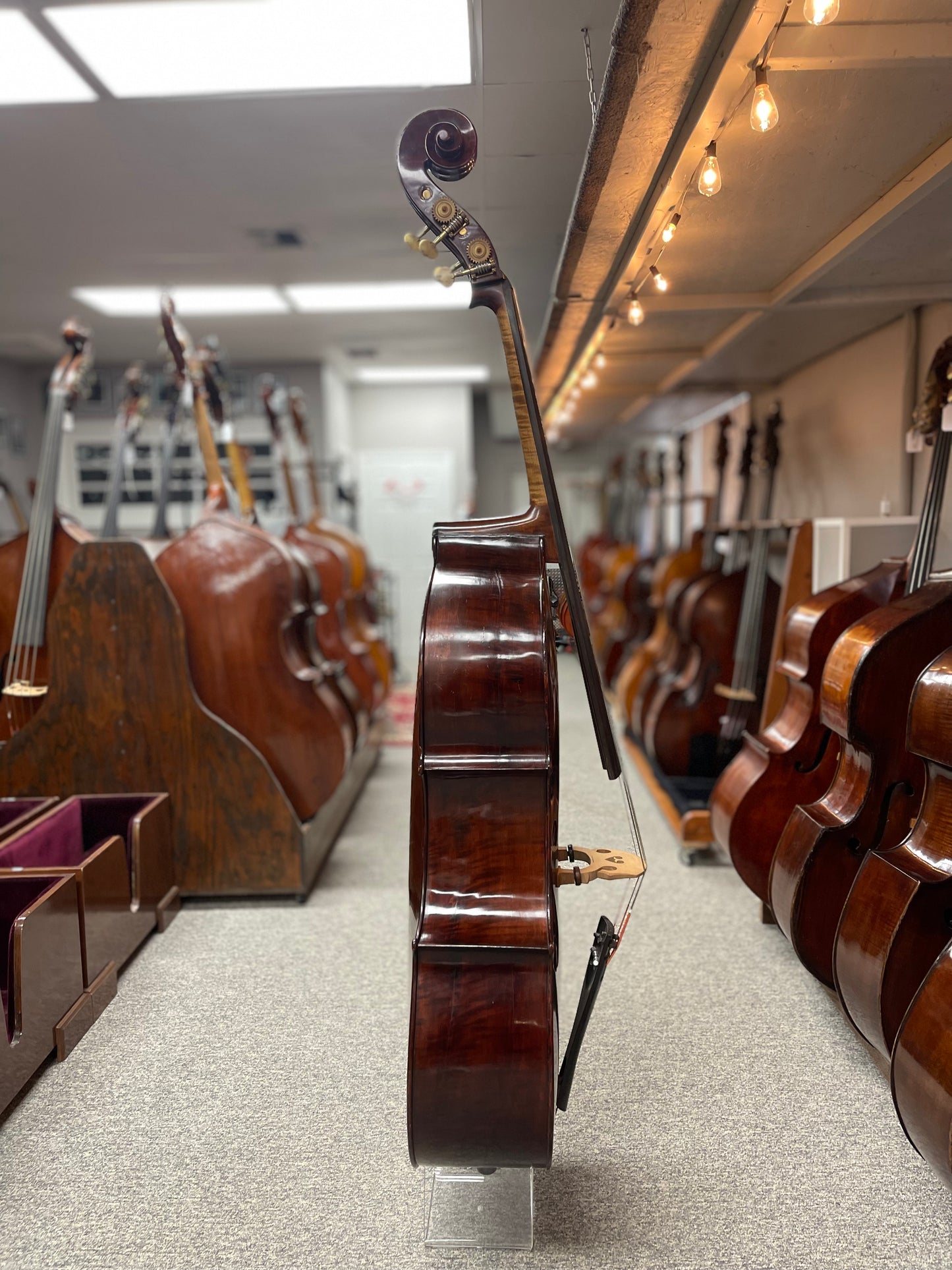 Pareschi Italian Bass