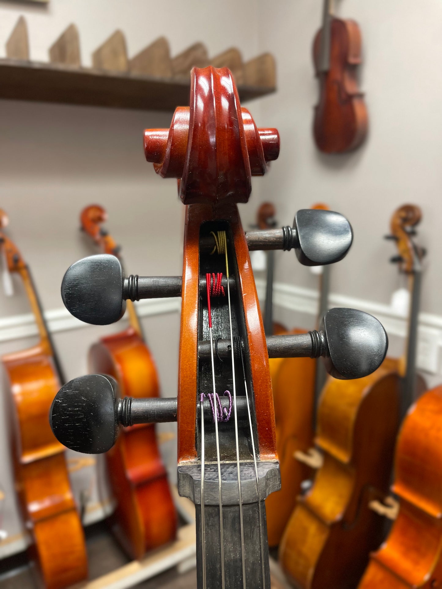 Liandro DiVacenza Cello DC-75 Hybrid