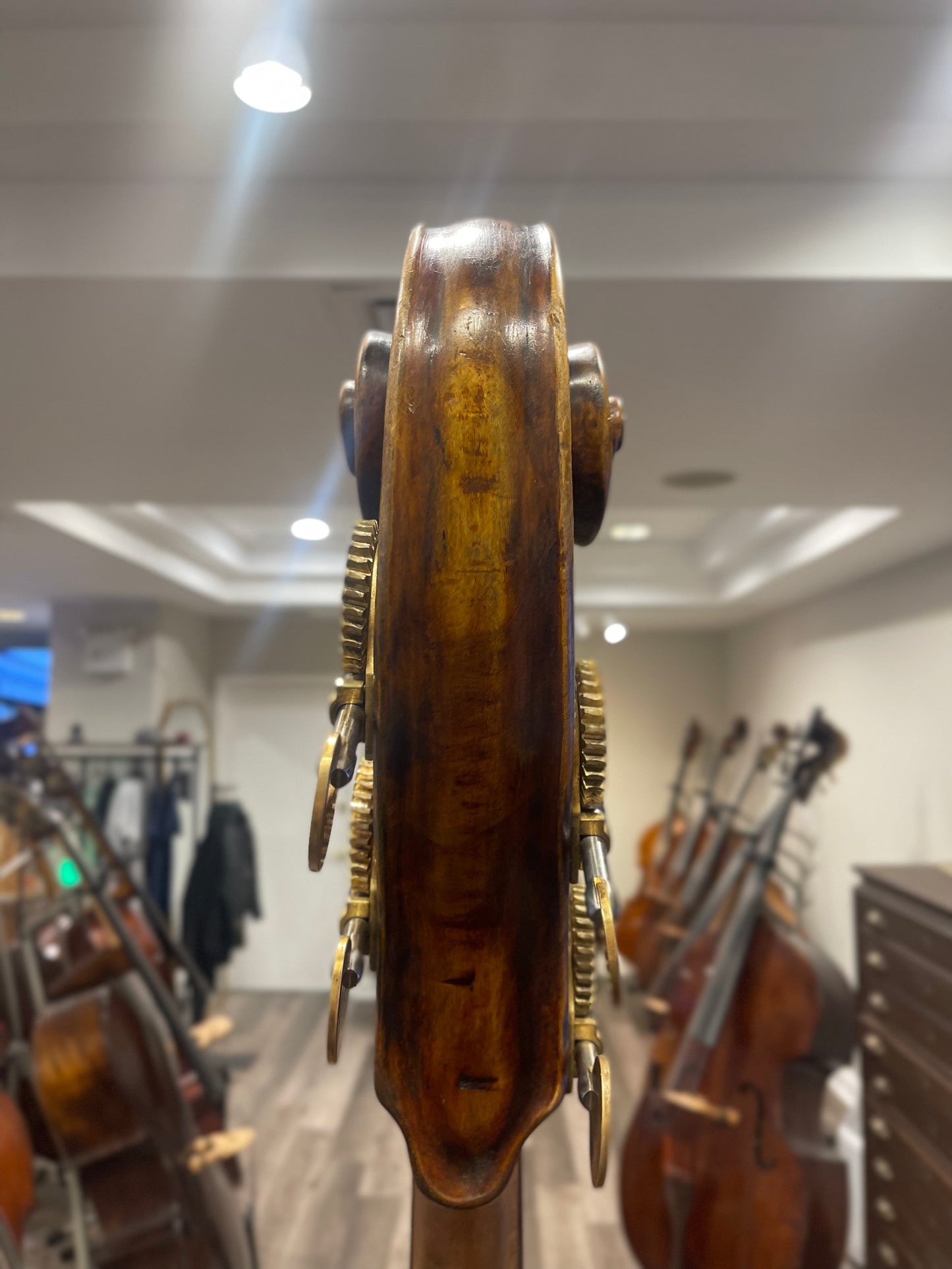 Szoradi Gyorgi Hungarian Bass