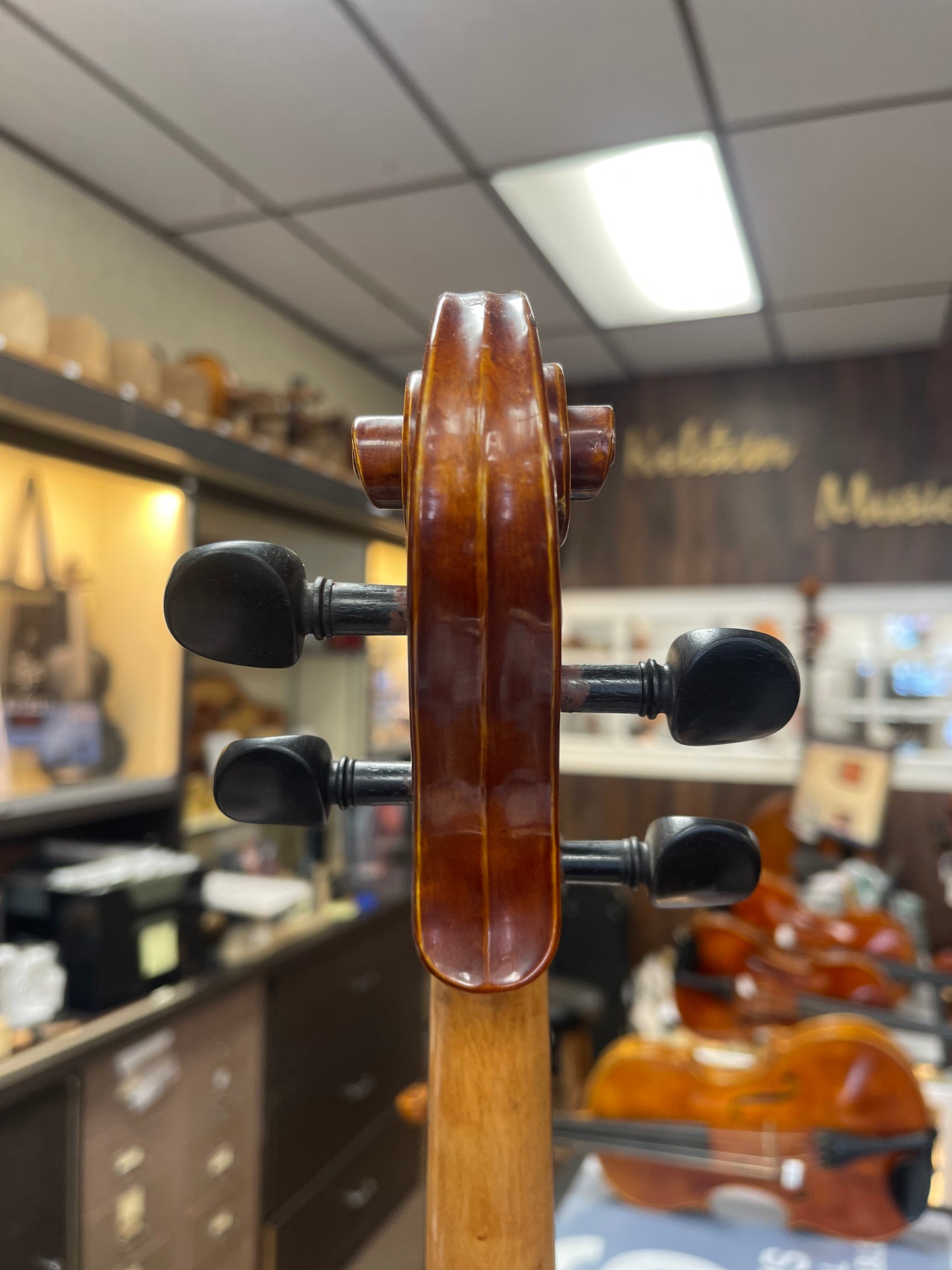 Liandro DiVacenza DVA 50 15.5"