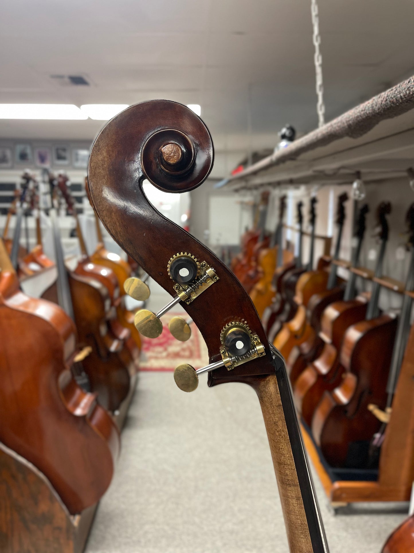 Kolstein Anton Posch Bass