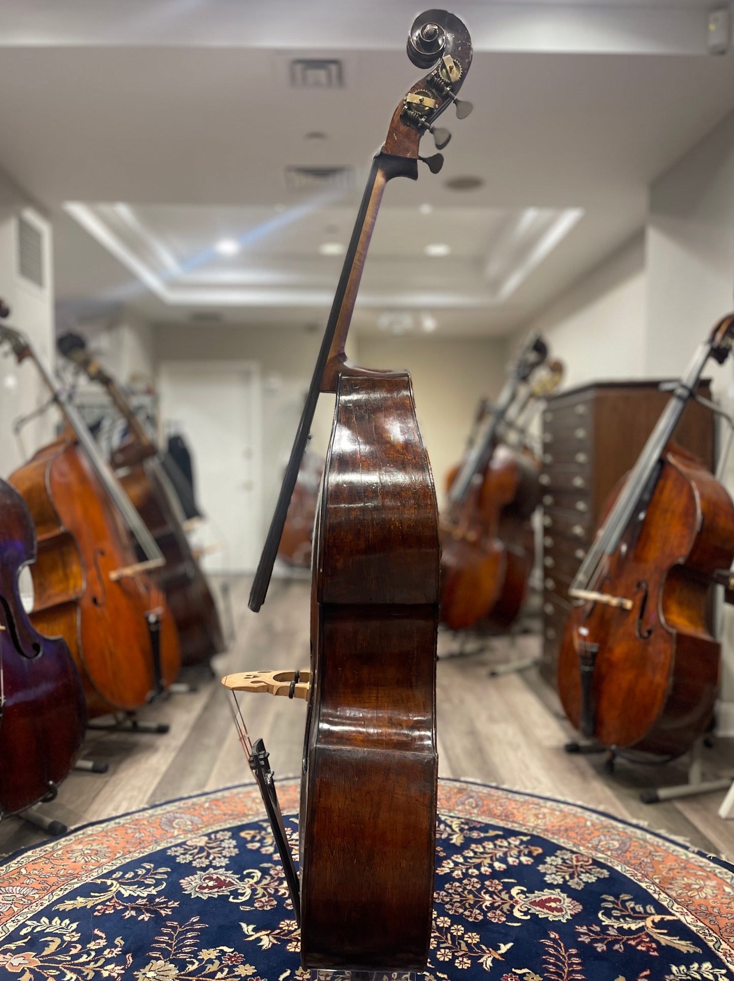 Mirecourt Bass France