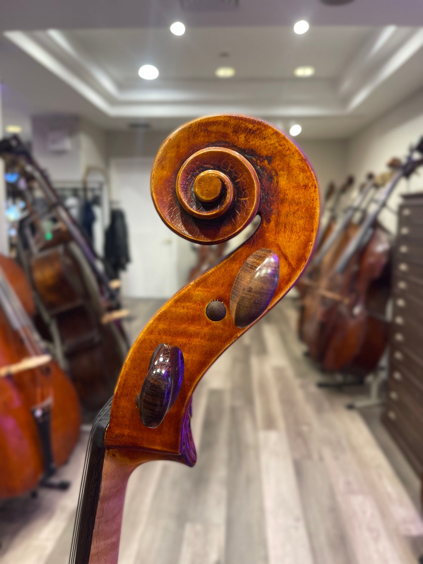 Pietro Messori Cello