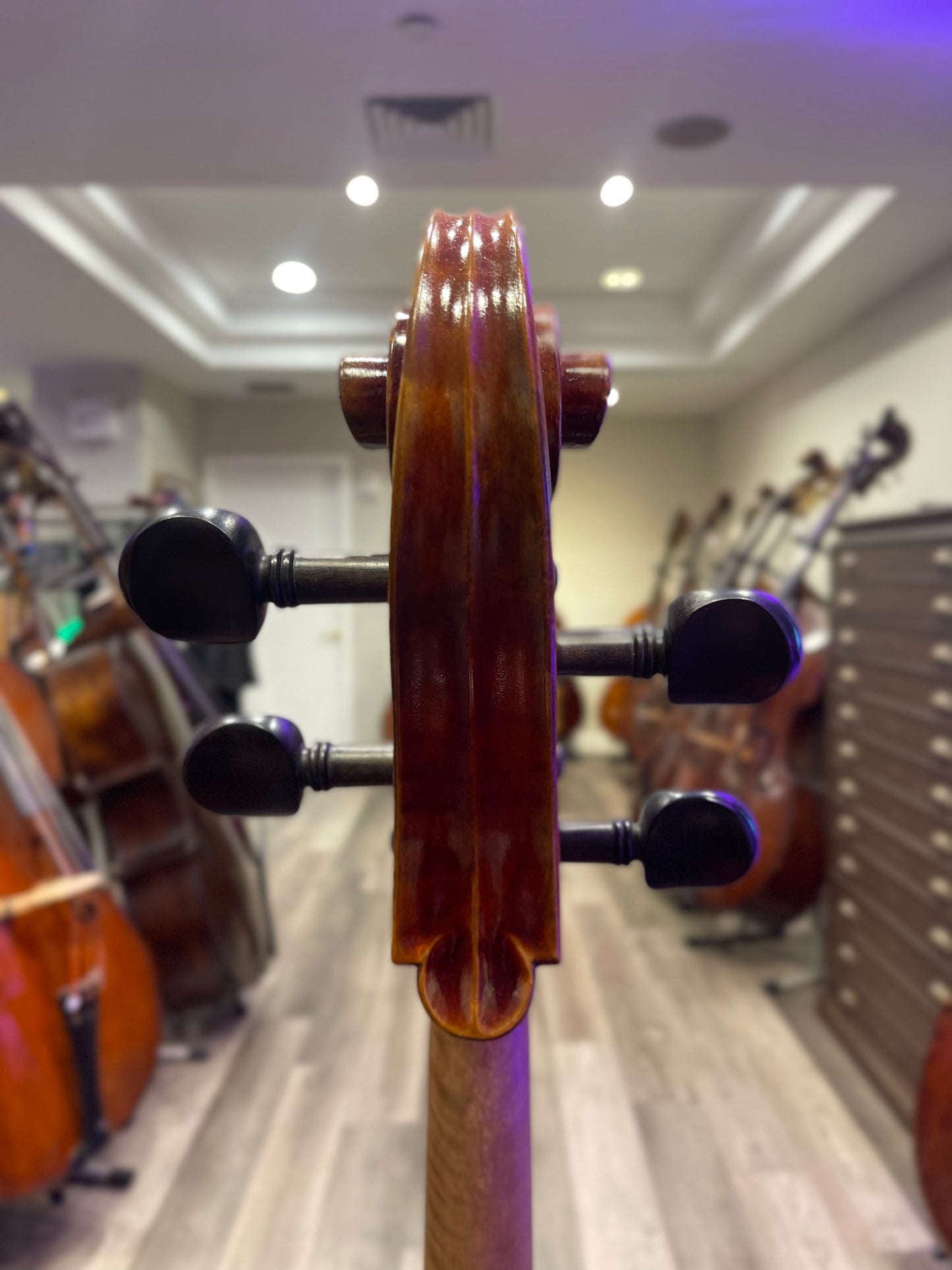 Liandro DiVacenza Model 300 Cello