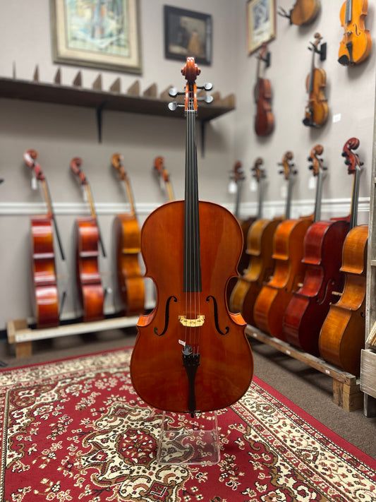 Francesco Cervini HC100 Cello