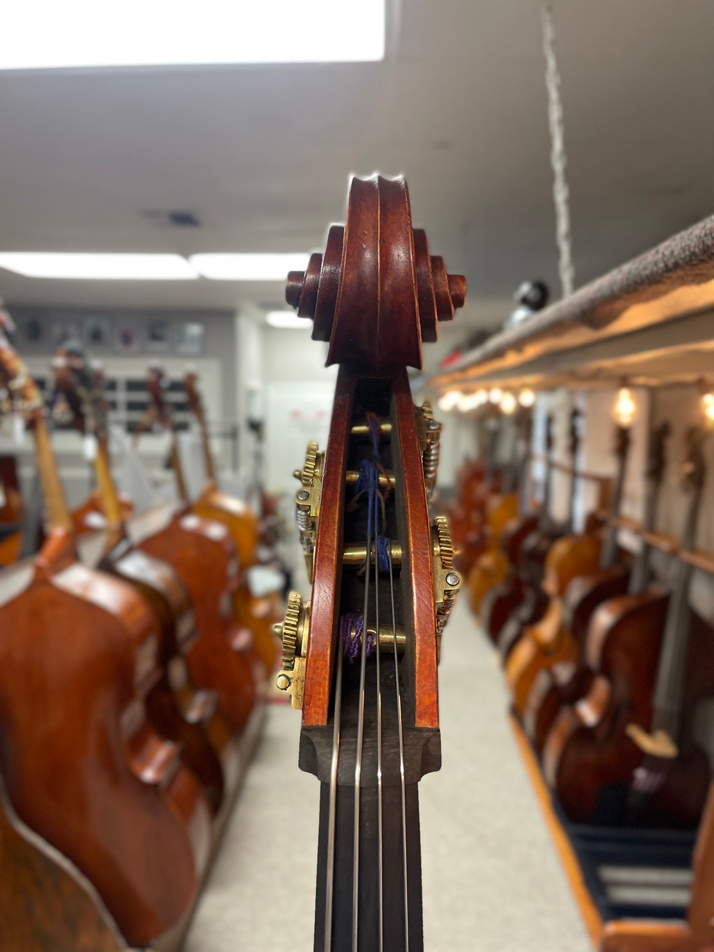 Kolstein Gasparo DaSalo Bass