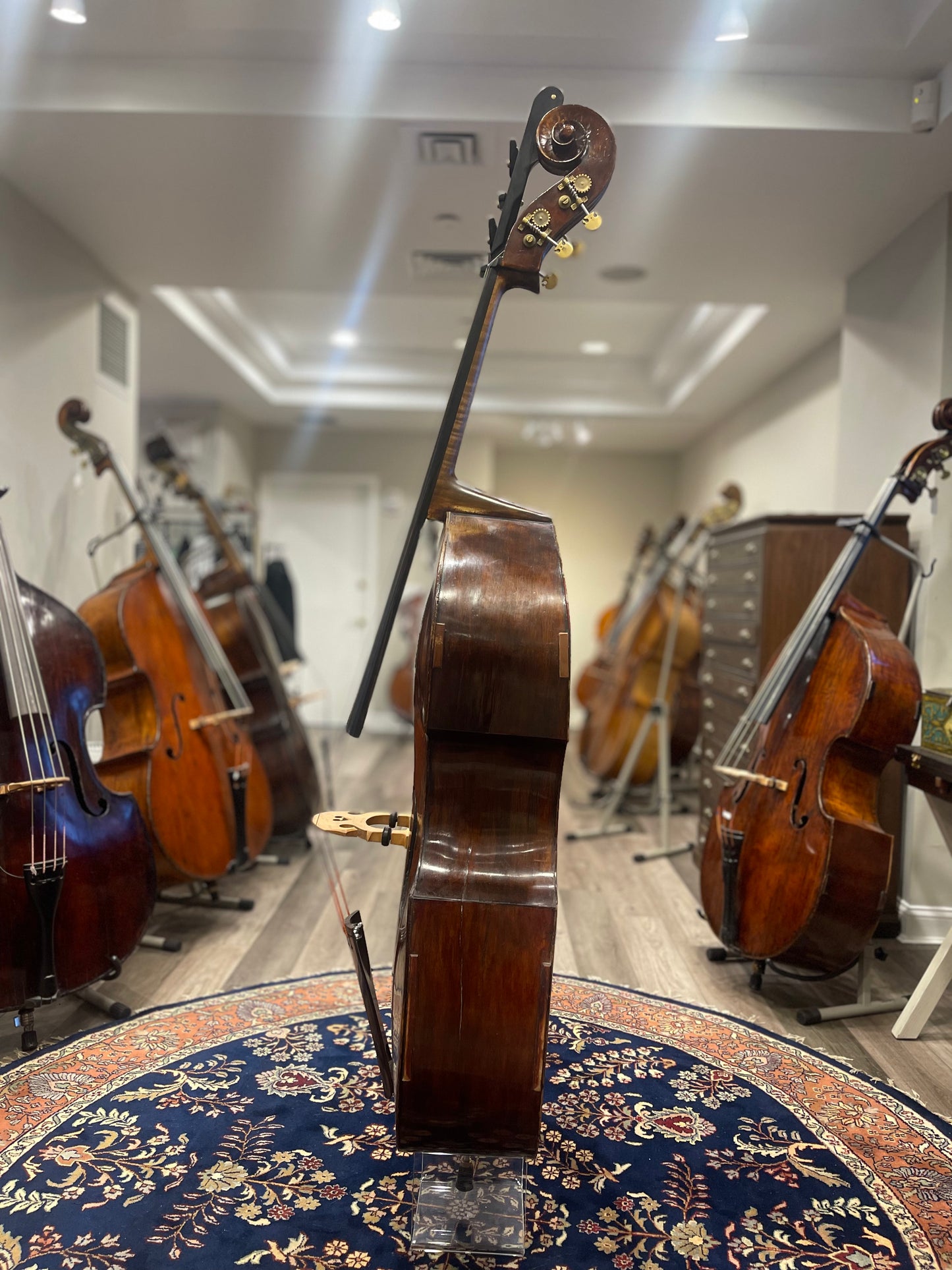 19th Century Neapolitan Gagliano