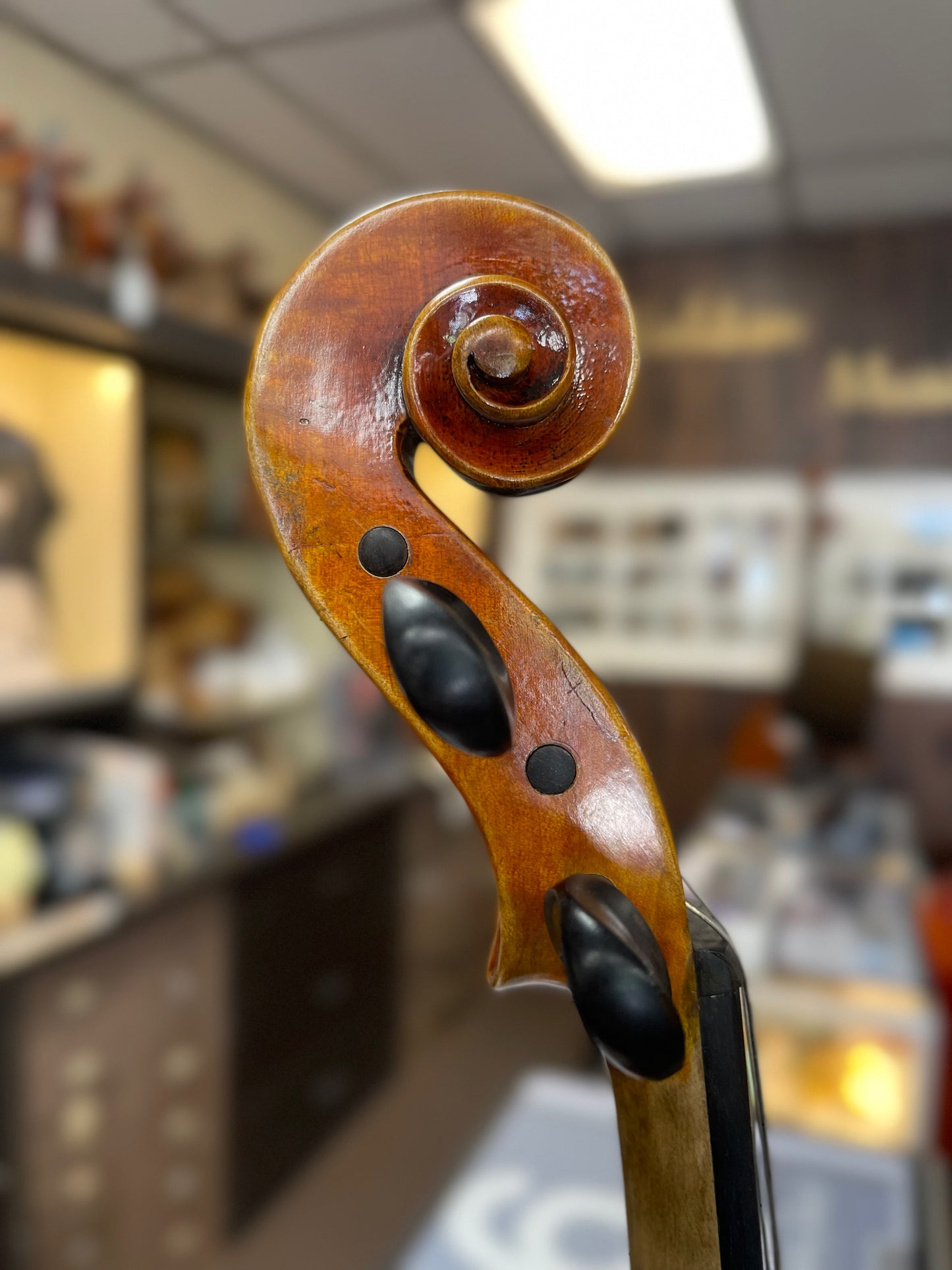 Liandro DiVacenza DVA600 Model 16” Viola