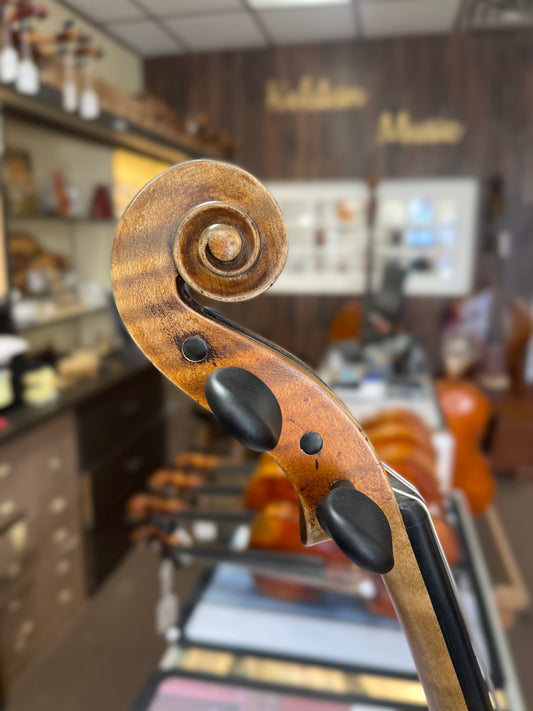 Mairead Nesbitt Albani Violin