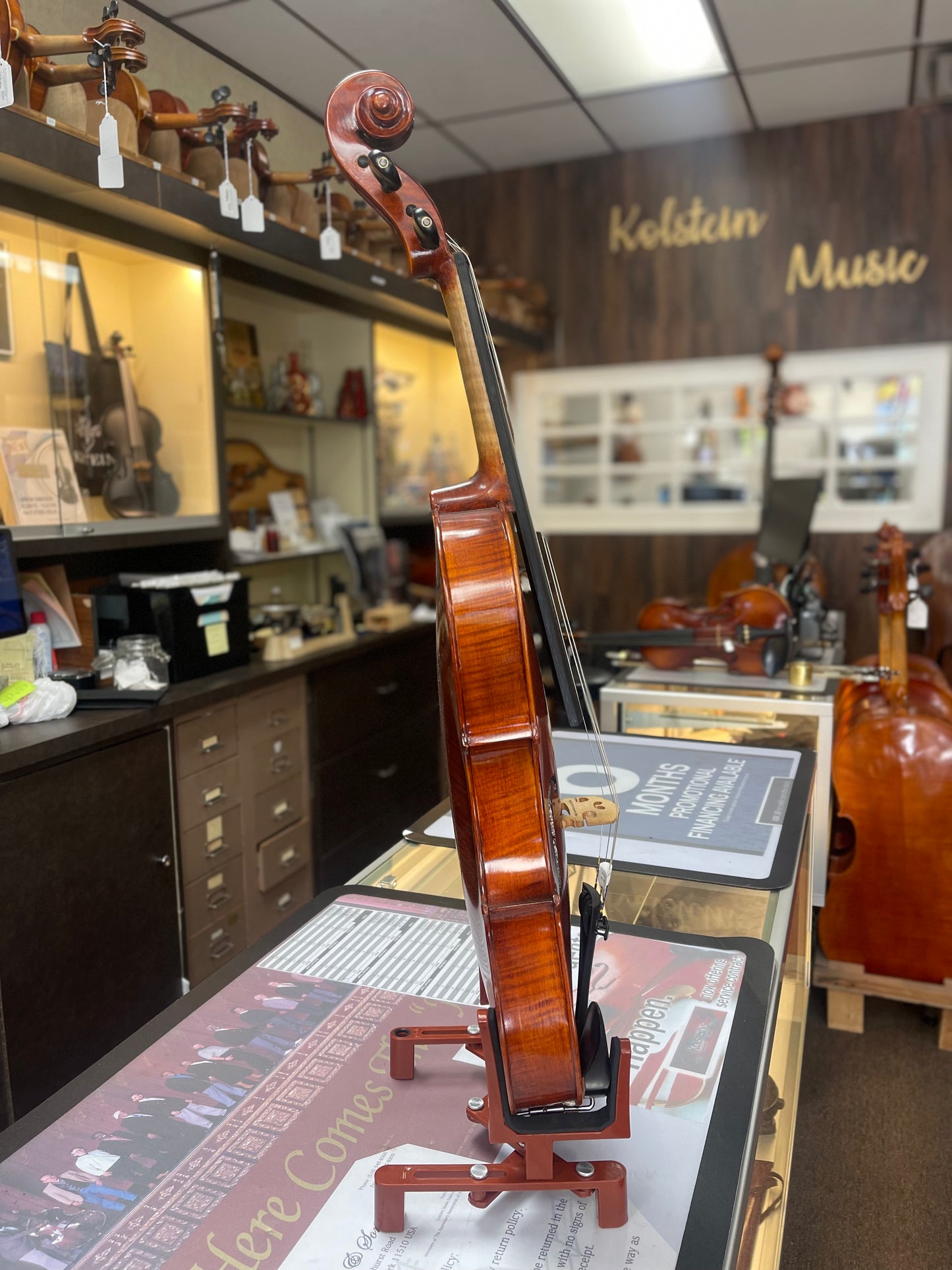 Liandro DiVacenza 15 1/2” DVA100 Viola