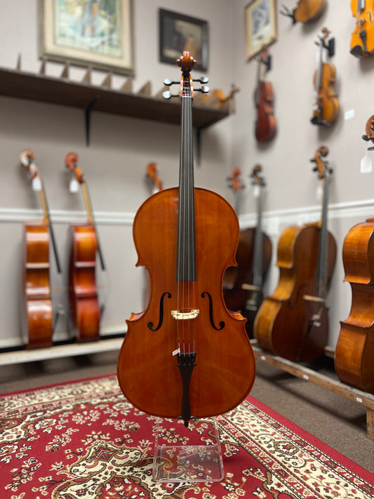 Liandro DiVacenza DC200 Cello