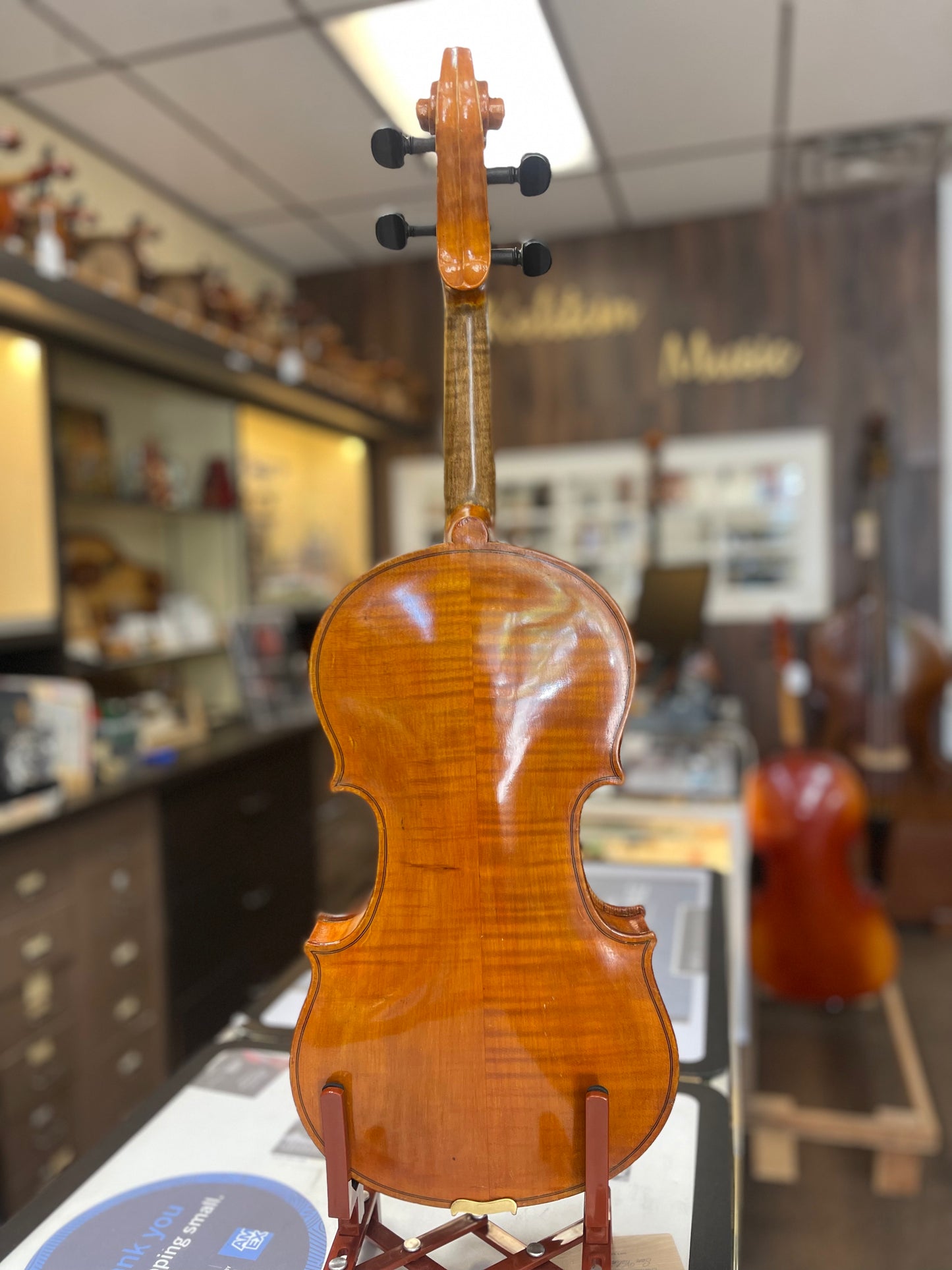 Italian Nuiperi Viola