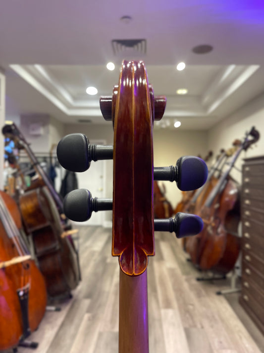 Liandro DiVacenza Model DC300