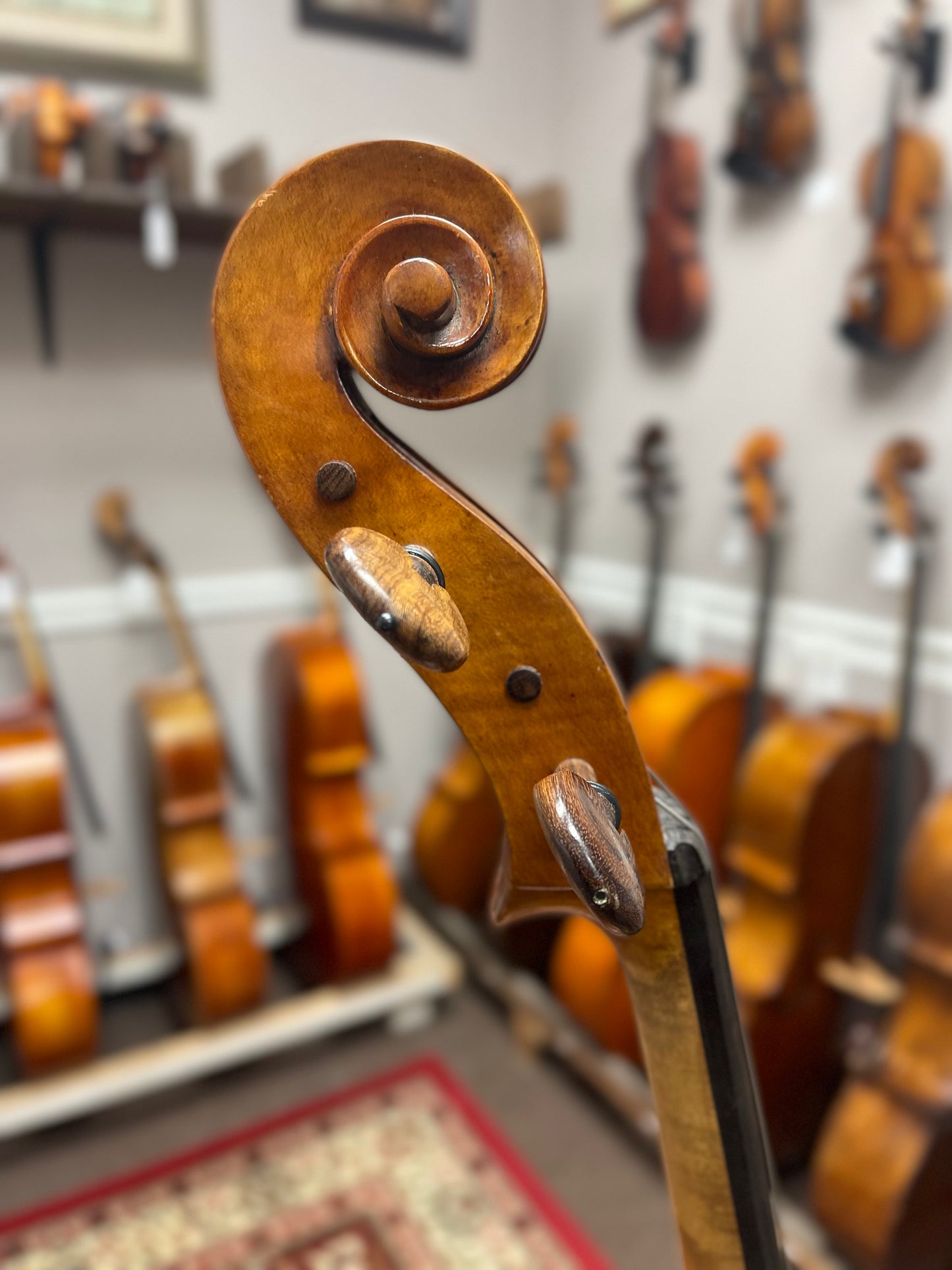 Kolstein Montagnana Cello