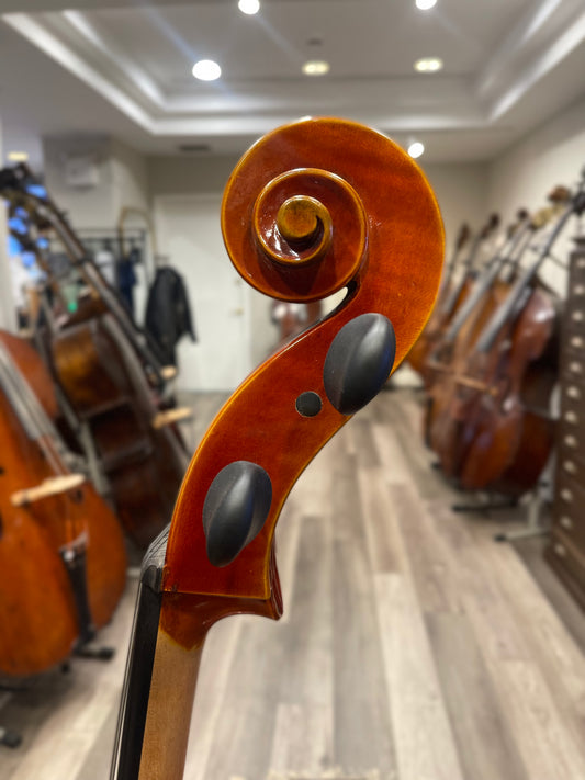 Liandro DiVacenza Model 300 Cello