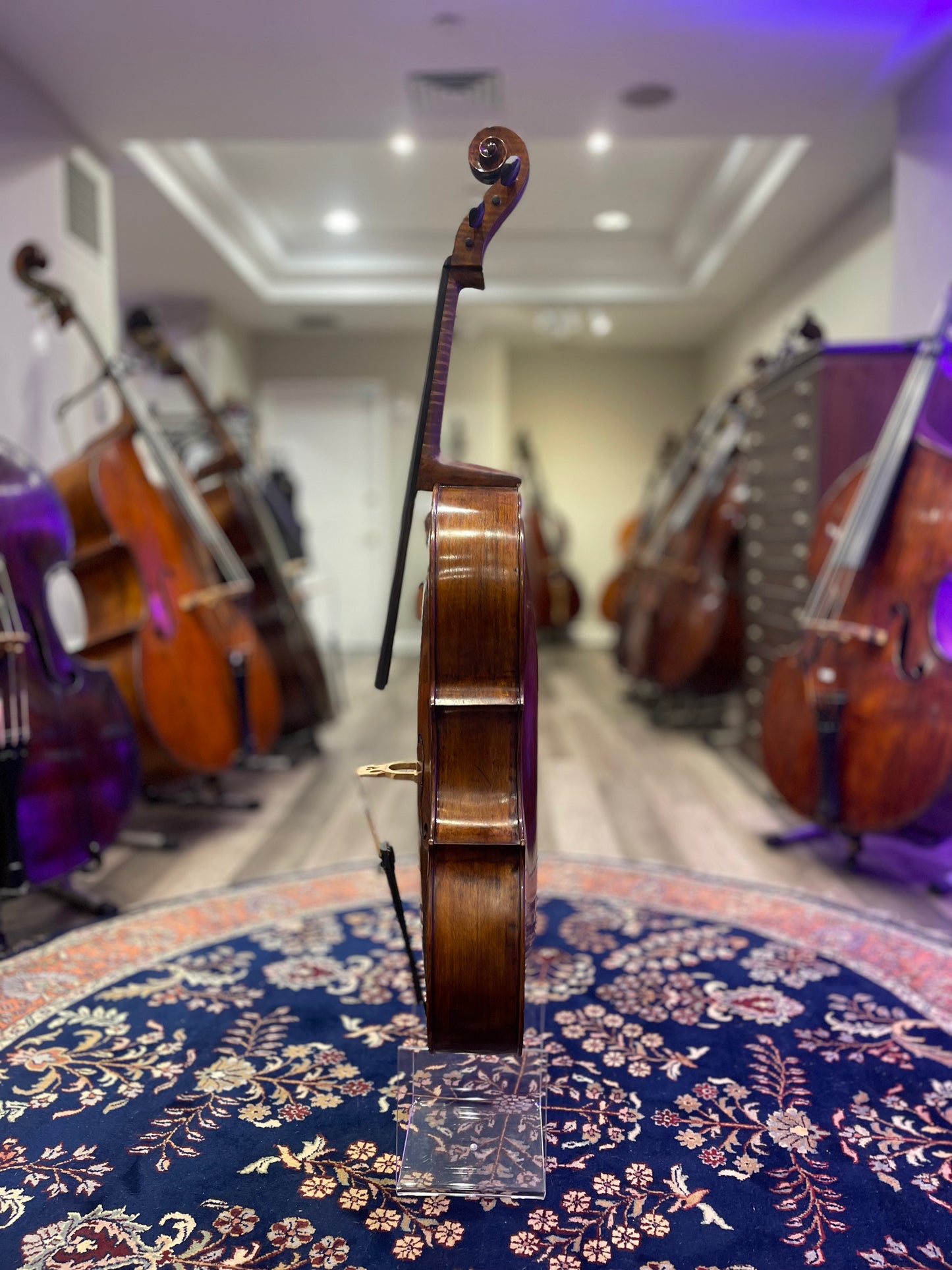 Kolstein Ceruti Model Cello