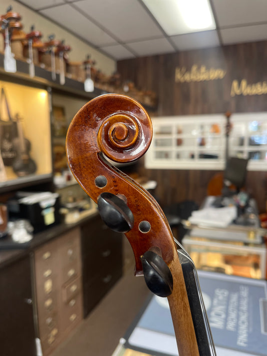 Liandro DiVacenza 15” DVA40 Viola