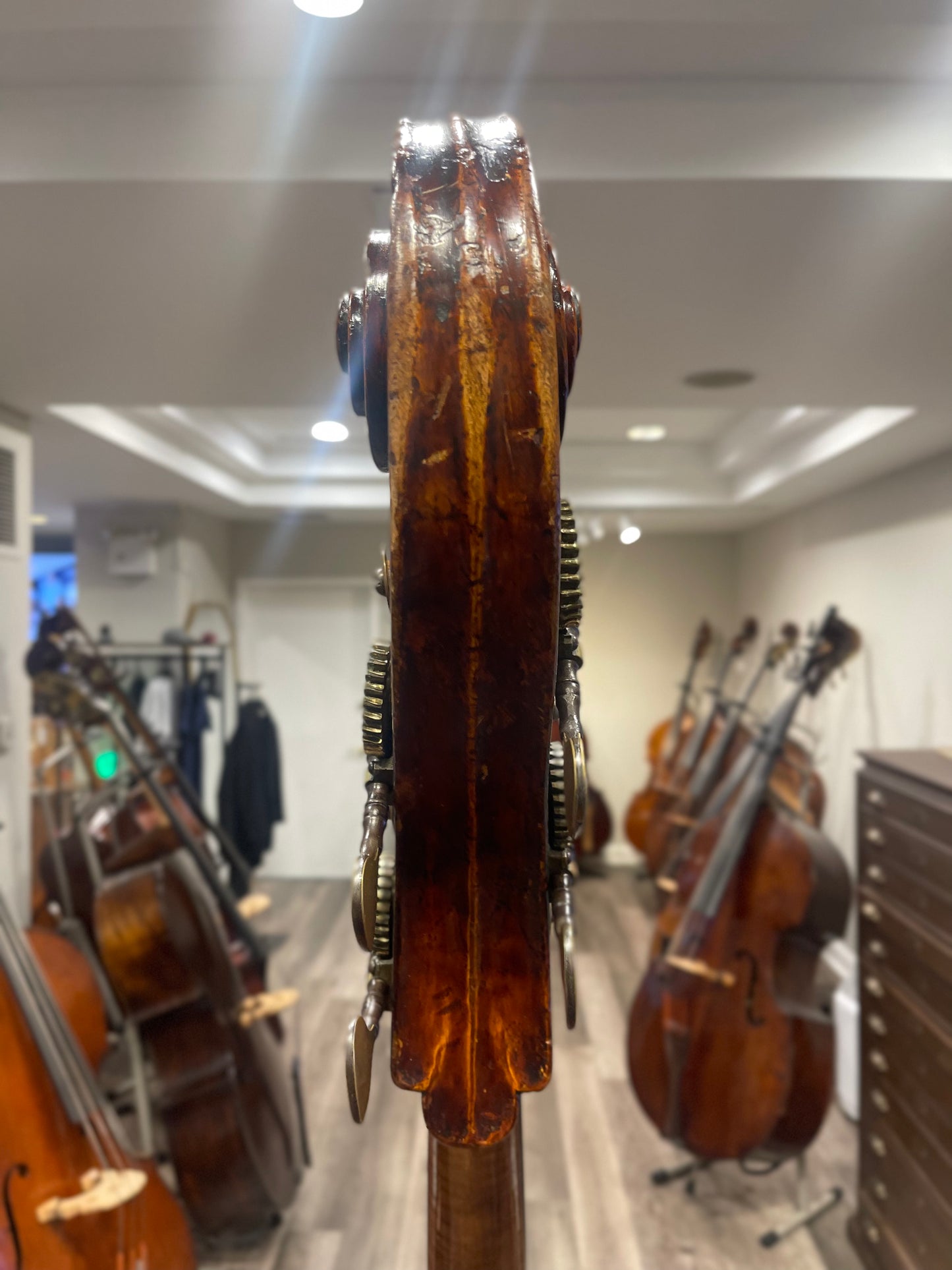 Pietro Giacomo Rogeri Bass