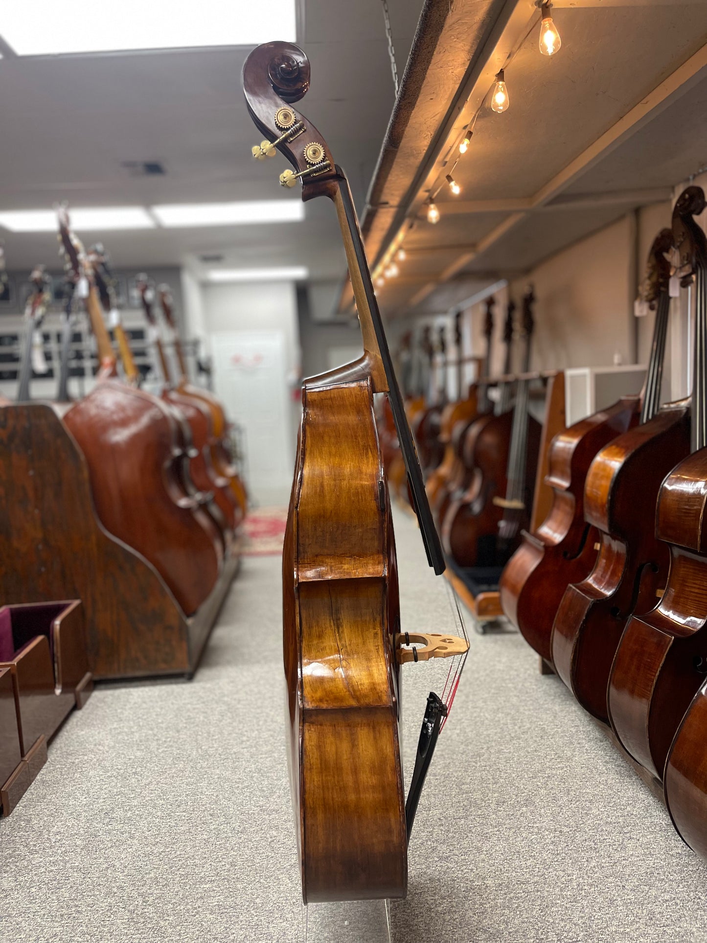 Kenneth Miller English Bass