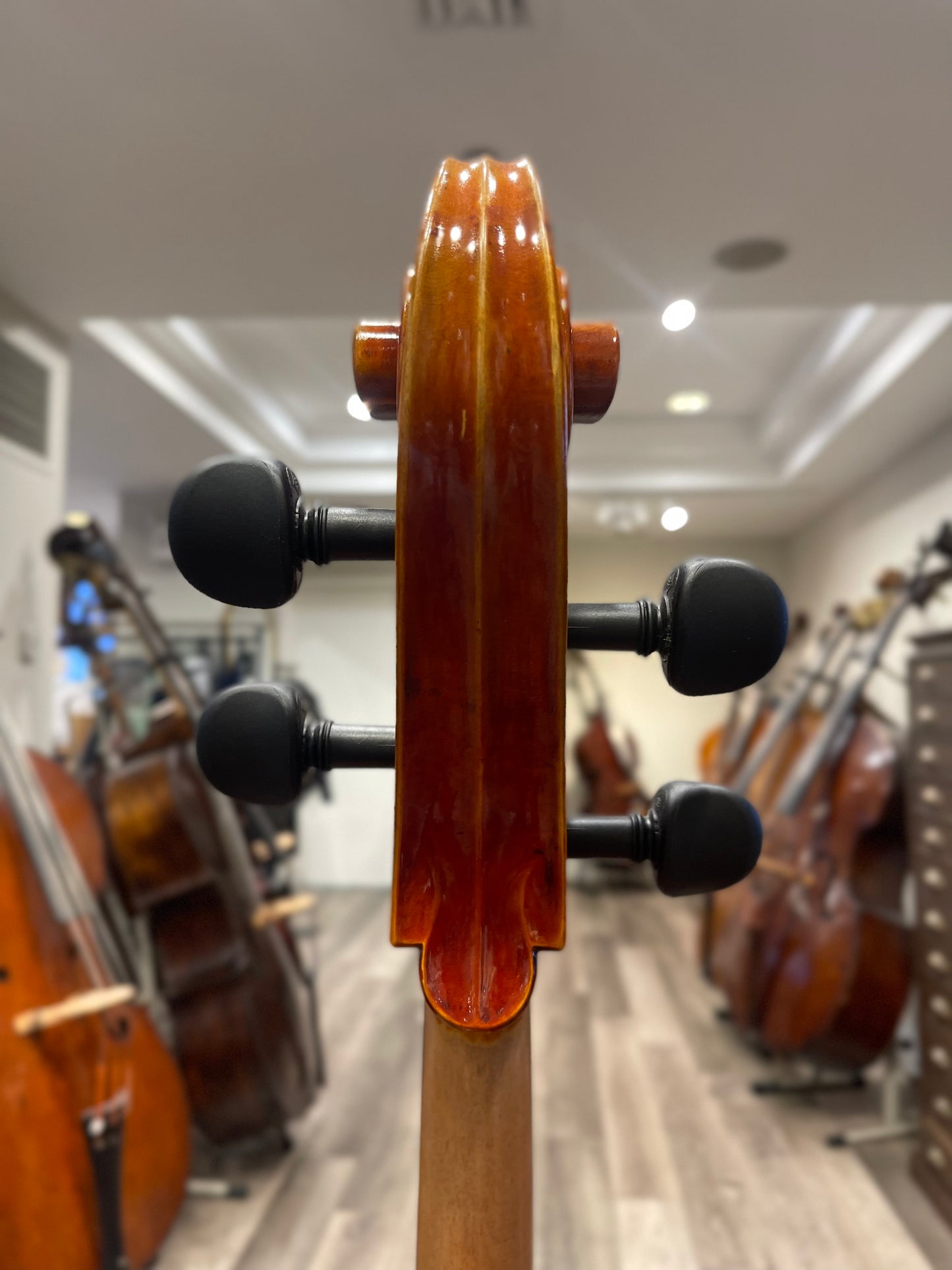 Liandro DiVacenza Model 300 Cello